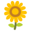 🌻 🌻